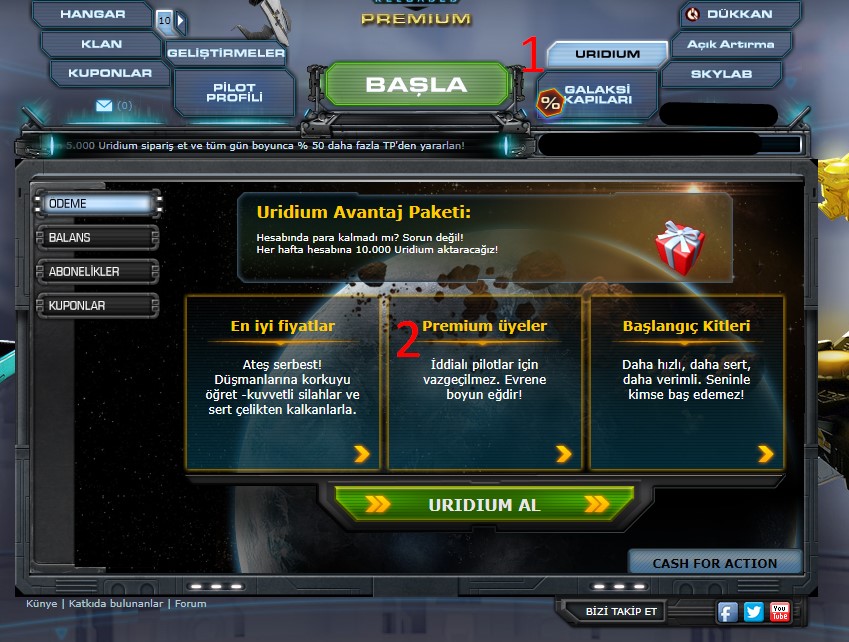 indiirm alma 2.jpg